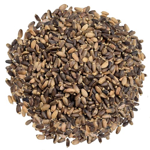 Ostropest plamisty ziarno - suplement diety